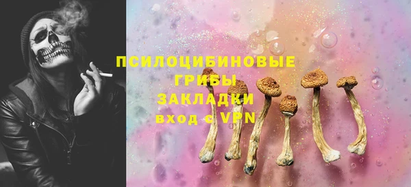 PSILOCYBIN Нефтегорск