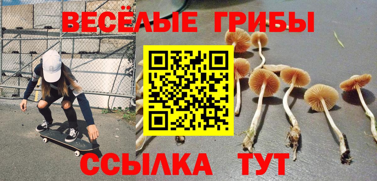 Ялуторовск  Галлюциногенные грибы Psilocybe  Псилоцибиновые грибы ЛСД  Вход с VPN 